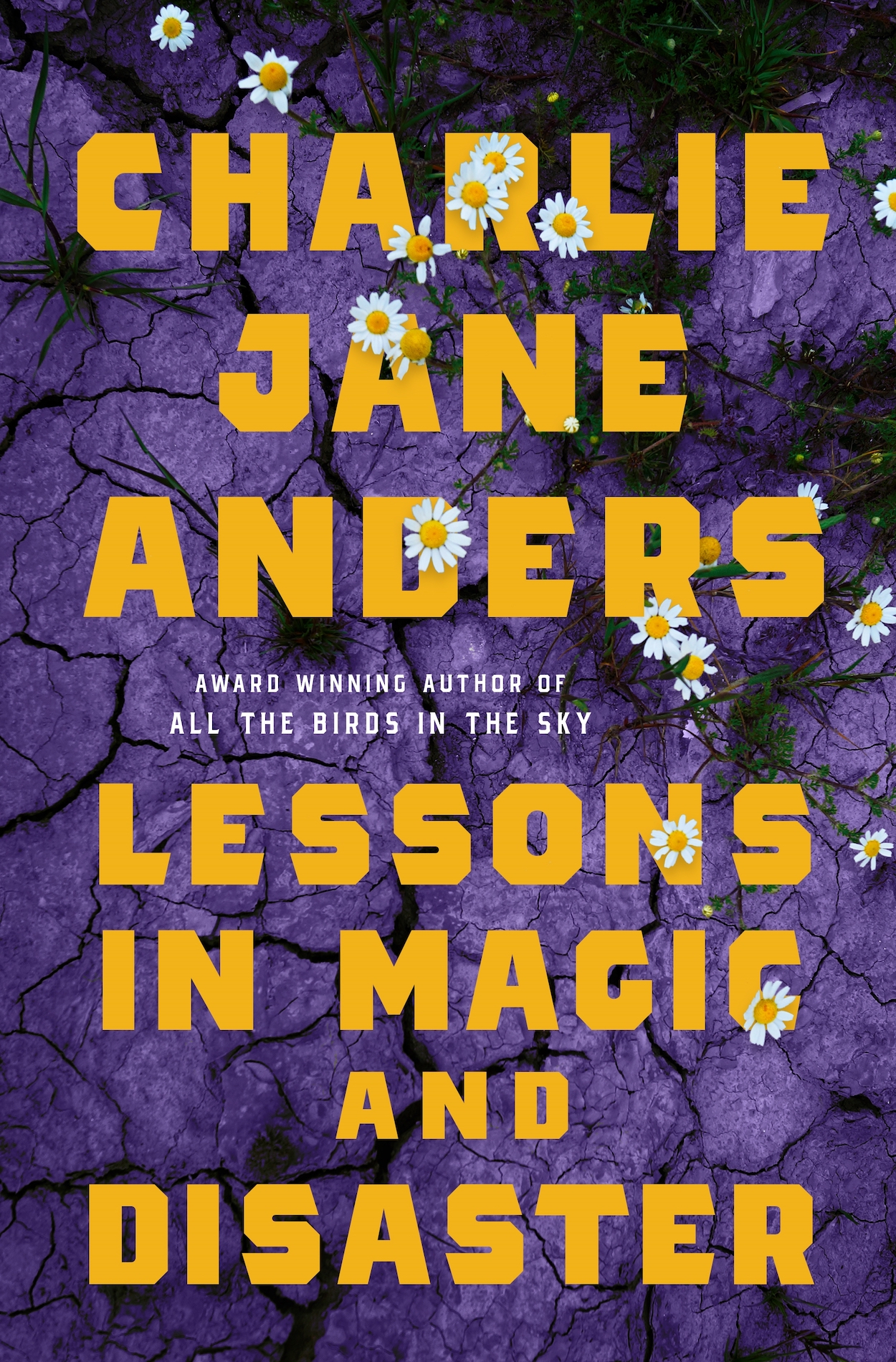 Un nouveau roman en VO pour Charlie Jane Anders, l'autrice de Tous les oiseaux du ciel